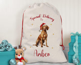 Personalised Hungarian Vizsla Large Christmas Sack - Red Drawstring Bag for Xmas Presents - Christmas Eve Bag Box Decoration for Dogs XS113