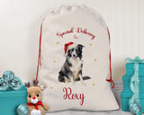 Personalised Border Collie Large Christmas Sack - Red Drawstring Bag for Xmas Presents - Christmas Eve Bag Box Decoration for Dogs XS076