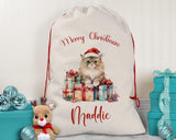 Personalised Christmas Sack - Santa Sack for Kids Presents Xmas Cute Cat Kitten Design Stocking Christmas Eve Bag for Girls & Boys XS054