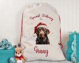 Personalised Chocolate Labrador Large Christmas Sack - Red Drawstring Bag for Xmas Presents Christmas Eve Bag Box Decoration for Dogs XS122