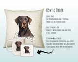 How to order the Chocolate Labrador cushion - Cover Only, Full Cushion and Pad, or Cushion+Mug+Coaster