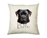Personalised Cane Corso name cushion with watercolour Cane Corso portrait and name in script