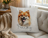 Personalised Pomeranian name cushion on a chair by the window