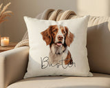 Personalised Brittany Spaniel name cushion on a sofa