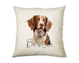 Personalised Brittany Spaniel name cushion with watercolour Brittany Spaniel portrait and name in script