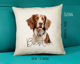 Brittany Spaniel name cushion size guide - 40 x 40cm (16 x 16 inches)