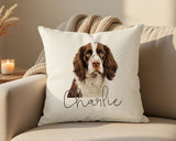 Personalised English Springer Spaniel name cushion on a sofa