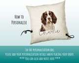 How to personalise the English Springer Spaniel name cushion - add your dog's name in the personalisation box