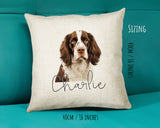 English Springer Spaniel name cushion size guide - 40 x 40cm (16 x 16 inches)