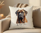 Personalised Mastiff name cushion on a sofa