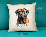 Mastiff name cushion size guide - 40 x 40cm (16 x 16 inches)