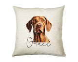 Personalised Hungarian Vizsla name cushion with watercolour Hungarian Vizsla portrait and name in script