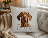 Personalised Hungarian Vizsla name cushion on a chair by the window