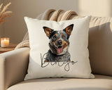 Personalised Australian Cattle Dog name cushion on a sofa