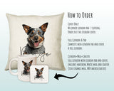How to order the Australian Cattle Dog cushion - Cover Only, Full Cushion and Pad, or Cushion+Mug+Coaster