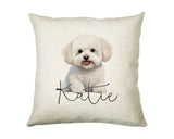 Personalised Bichon Frise name cushion with watercolour Bichon Frise portrait and name in script