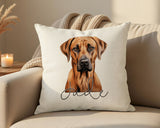 Personalised Rhodesian Ridgeback name cushion on a sofa