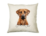 Personalised Rhodesian Ridgeback name cushion with watercolour Rhodesian Ridgeback portrait and name in script