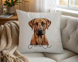Personalised Rhodesian Ridgeback name cushion on a chair by the window