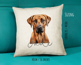 Rhodesian Ridgeback name cushion size guide - 40 x 40cm (16 x 16 inches)