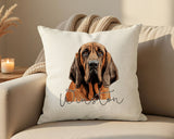 Personalised Bloodhound name cushion on a sofa