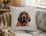 Personalised Bloodhound name cushion on a chair by the window