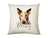 Personalised Bull Terrier name cushion with watercolour Bull Terrier portrait and name in script