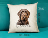 Wirehaired Pointing Griffon name cushion size guide - 40 x 40cm (16 x 16 inches)
