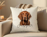 Personalised Irish Setter name cushion on a sofa