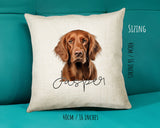 Irish Setter name cushion size guide - 40 x 40cm (16 x 16 inches)