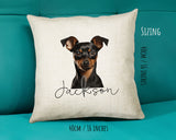 Miniature Pinscher name cushion size guide - 40 x 40cm (16 x 16 inches)