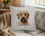 Personalised Soft Coated Wheaten Terrier name cushion on a chair by the window