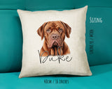 Dogue de Bordeaux name cushion size guide - 40 x 40cm (16 x 16 inches)
