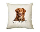 Personalised Nova Scotia Duck Tolling Retriever name cushion with watercolour Nova Scotia Duck Tolling Retriever portrait and name in script