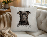 Personalised Staffordshire Bull Terrier name cushion on a chair by the window