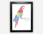 Personalised Parrot Gifts Word Art Wall Print - Bird Lover Gifts Wall Decor Custom Word Cloud Wall Art A3 A4 A5 8x10 Print GC1476