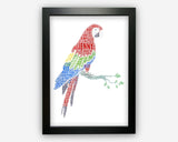 Personalised Parrot Gifts Word Art Wall Print - Bird Lover Gifts Wall Decor Custom Word Cloud Wall Art A3 A4 A5 8x10 Print GC1476
