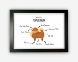 Anatomy of a Pomeranian Funny Personalised Gift - Dog Lover Gift for Pomeranian Owner For Him Or Her Wall Art Friends Prints ST064