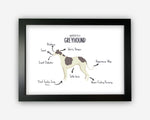 Anatomy of a Greyhound Funny Gift For Him Or Her Word Art Wall Friends Prints ST053