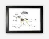Anatomy of a Greyhound Funny Gift For Him Or Her Word Art Wall Friends Prints ST053