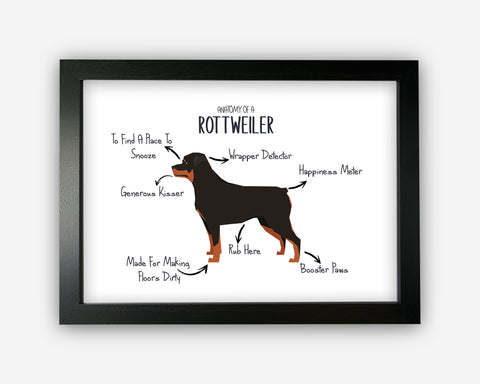 Anatomy of a Rottweiler Funny Gift For Him Or Her Word Art Wall Friends Prints ST087