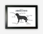 Anatomy of a Labrador Retriever (Black) Funny Gift For Him Or Her Word Art Wall Friends Prints ST095