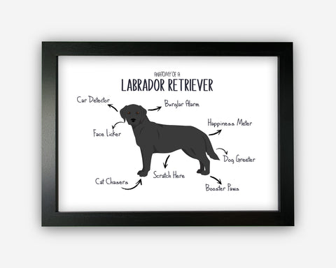 Anatomy of a Labrador Retriever (Black) Funny Gift For Him Or Her Word Art Wall Friends Prints ST095