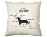 Anatomy of a Dachshund Funny Gift For Him Or Her Cushion Pillow Bedroom Decor CS416