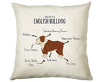 Anatomy of a English Bulldog Funny Gift For Him Or Her Cushion Pillow Bedroom Decor CS414