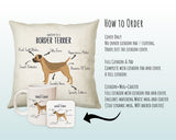 Anatomy of a Border Terrier Funny Gift For Him Or Her Cushion Pillow Bedroom Decor STC0092