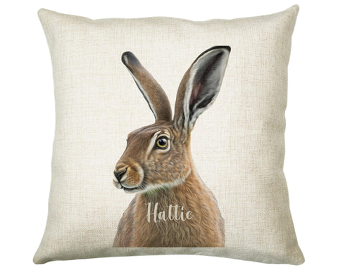 Birthday Gift For Boy Baby Hare Cushion Gift Printed Name Design Cushion Throw Pillow Gift For Boys Nursery Bedroom Animal Pony Gift CS543