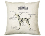 Anatomy of a Dalmatian Funny Gift For Him Or Her Cushion Pillow Bedroom Decor STC0088