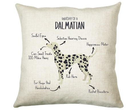 Anatomy of a Dalmatian Funny Gift For Him Or Her Cushion Pillow Bedroom Decor STC0088