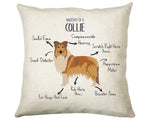 Anatomy of a Collie Funny Gift For Him Or Her Cushion Pillow Bedroom Decor STC0094
